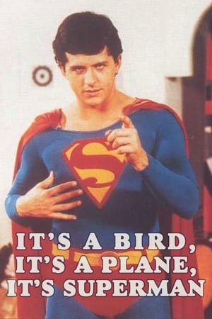 Image It's a Bird, It's a Plane, It's Superman!