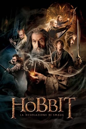 Image Lo Hobbit: La desolazione di Smaug
