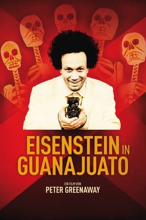 Image Eisenstein in Guanajuato