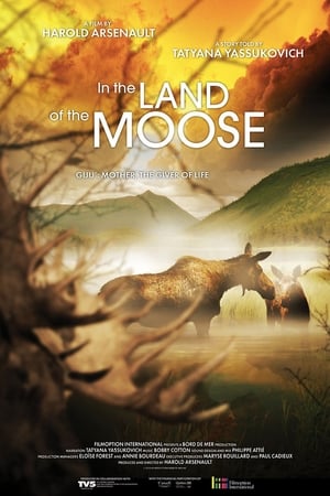 Image In the Land of the Moose