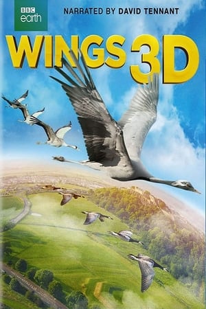 Image Wings 3D