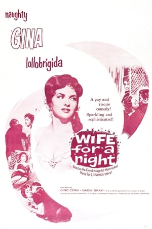 Image Wife for a Night