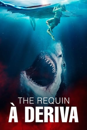 Image The Requin