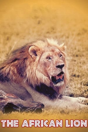 Image Το Λιοντάρι της Αφρικής