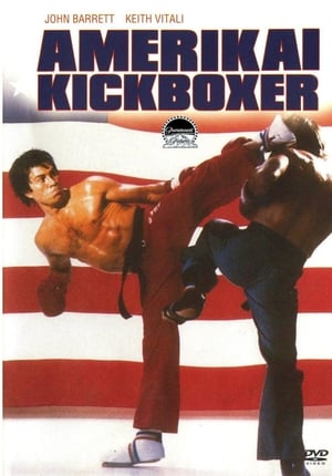 Image Amerikai kickboxer