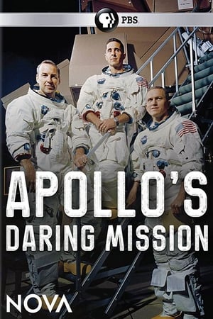 Image Apollo's Daring Mission