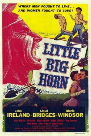 Image Little Big Horn