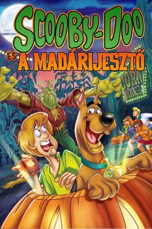 Image Scooby-Doo és a madárijesztő
