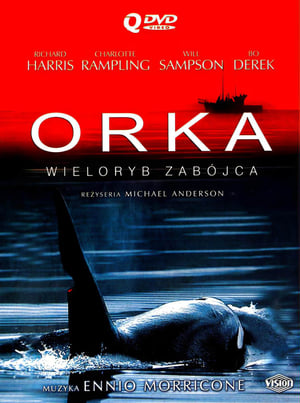 Image Orka - Wieloryb zabójca