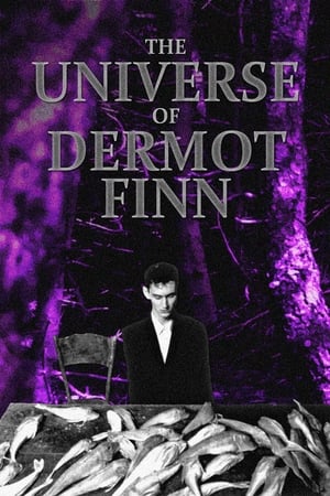 Image The Universe of Dermot Finn