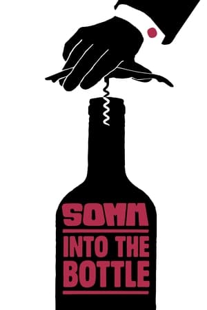 Image Somm: Into the Bottle