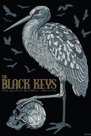 Image The Black Keys: Live At Austin City Limits
