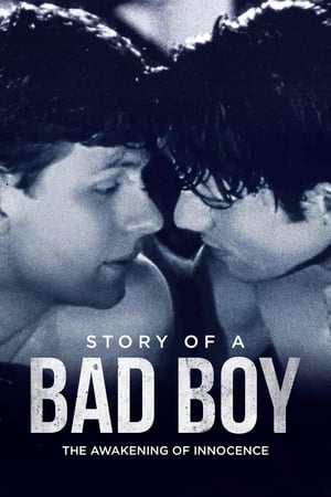 Image Story of a Bad Boy