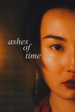 Image Ashes of Time Redux