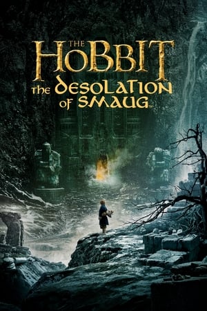 Image The Hobbit: The Desolation of Smaug