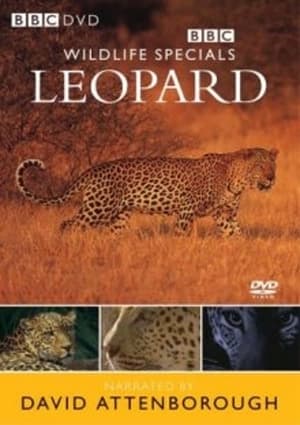 Image Leopard: The Agent of Darkness