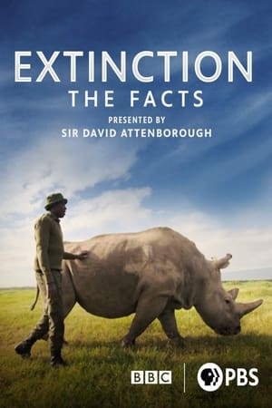 Image Extinction: The Facts