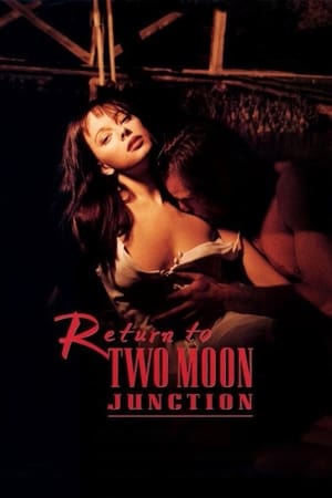 Image Return to Two Moon Junction