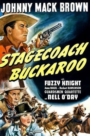 Image Stagecoach Buckaroo