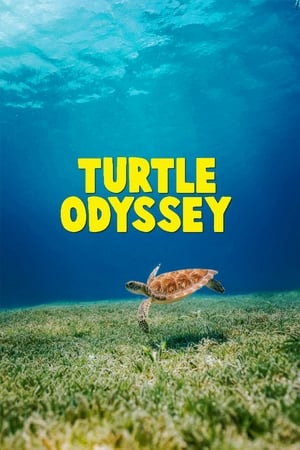 Image Turtle Odyssey