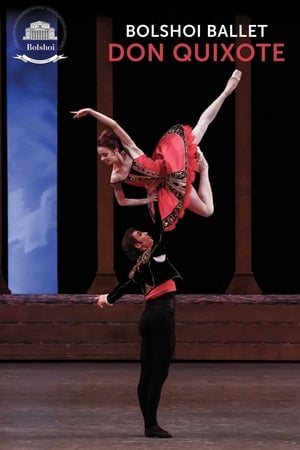 Image Bolshoi Ballet: Don Quixote
