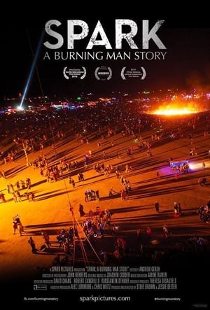 Image Spark: A Burning Man Story