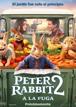 Image Peter Rabbit 2: A la fuga