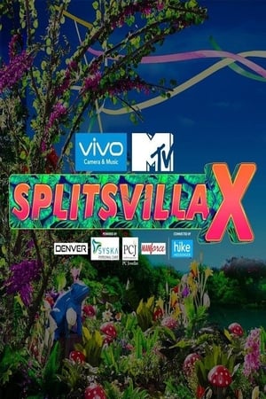 Image MTV Splitsvilla