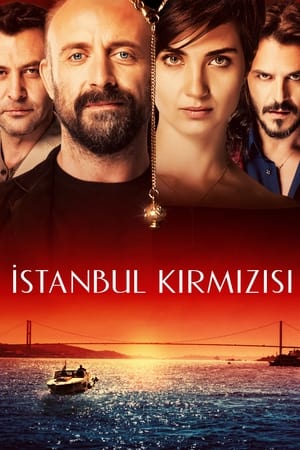 Image Istanbul rực đỏ