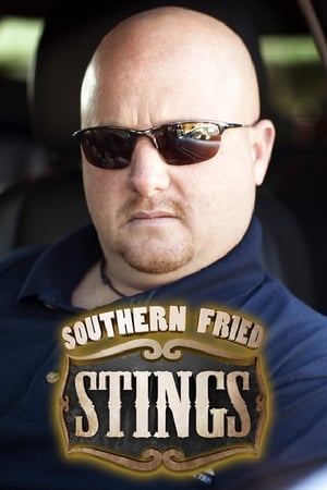 Image Southern Fried Stings
