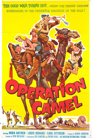 Image Friends at Arms: Operation Camel
