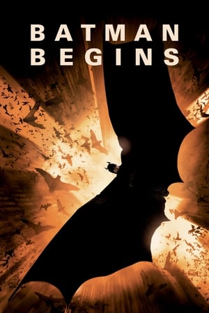 Image Batman - Începuturi