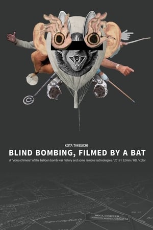 Image Blind Bombing, Filmed by a Bat