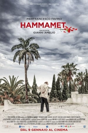 Image Hammamet