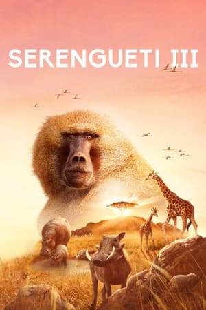 Image Serengueti