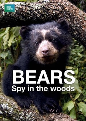 Image Un espía entre los osos
