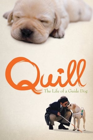 Image Quill:  The Life of a Guide Dog