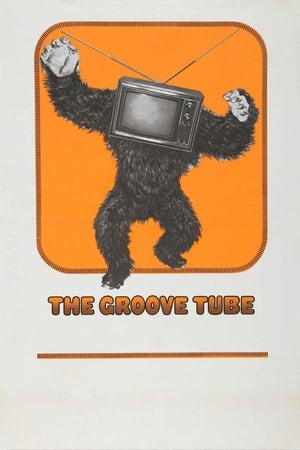 Image The Groove Tube