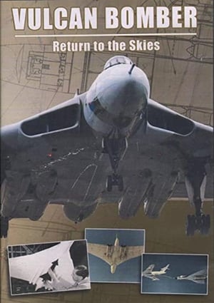 Image Vulcan Bomber: Return to the Skies
