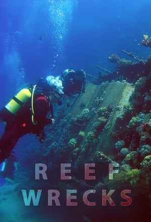 Image Reef Wrecks