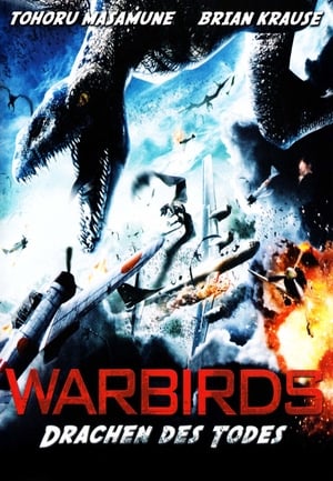 Image Warbirds - Drachen des Todes