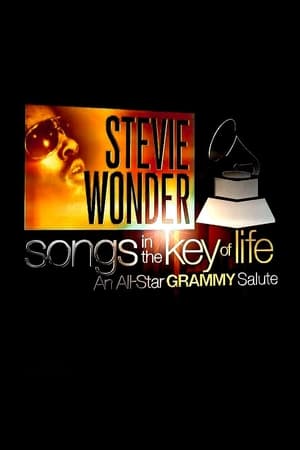 Image Stevie Wonder: Songs in the Key of Life - An All-Star Grammy Salute