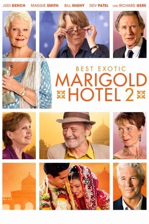 Image Best Exotic Marigold Hotel 2