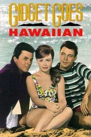 Image Gidget Goes Hawaiian