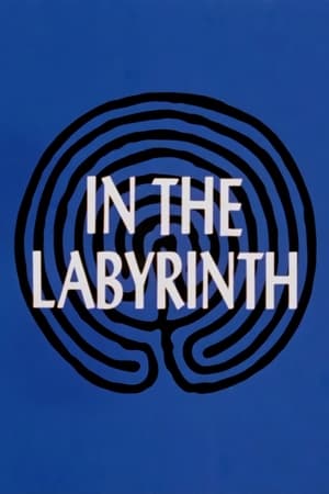 Image In the Labyrinth