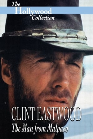 Image Clint Eastwood: A malpasói férfi