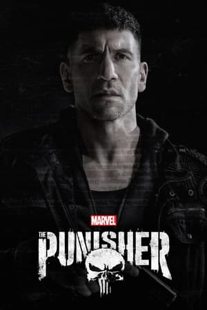 Image Marvel's The Punisher