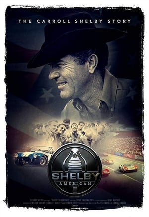 Image Shelby American