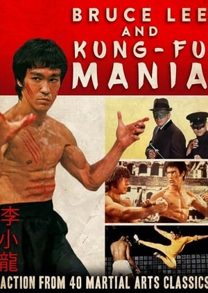 Image Bruce Lee and Kung Fu Mania