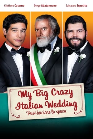 Image My Big Crazy Italian Wedding